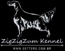 Canil ZigZigZum