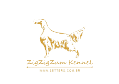 Canil ZigZigZum
